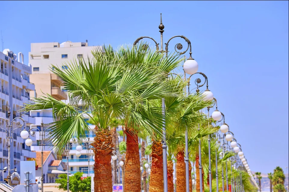 SPECIAL OFFER – LARNACA, CYPRUS 🌴 5nights in June