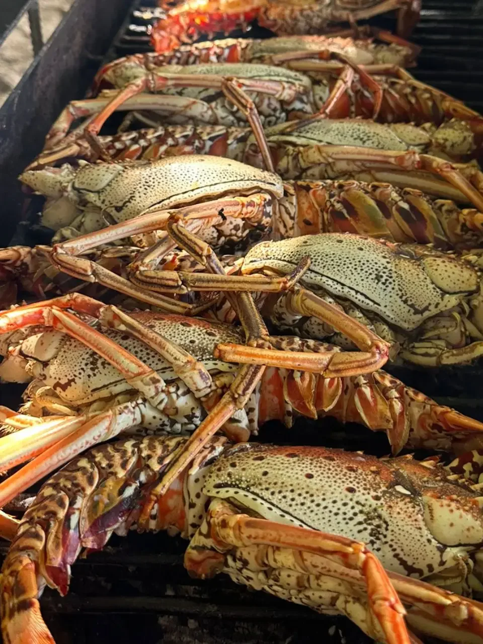 10 Insule Unice într-o Croazieră de Top în Caraibe 6
