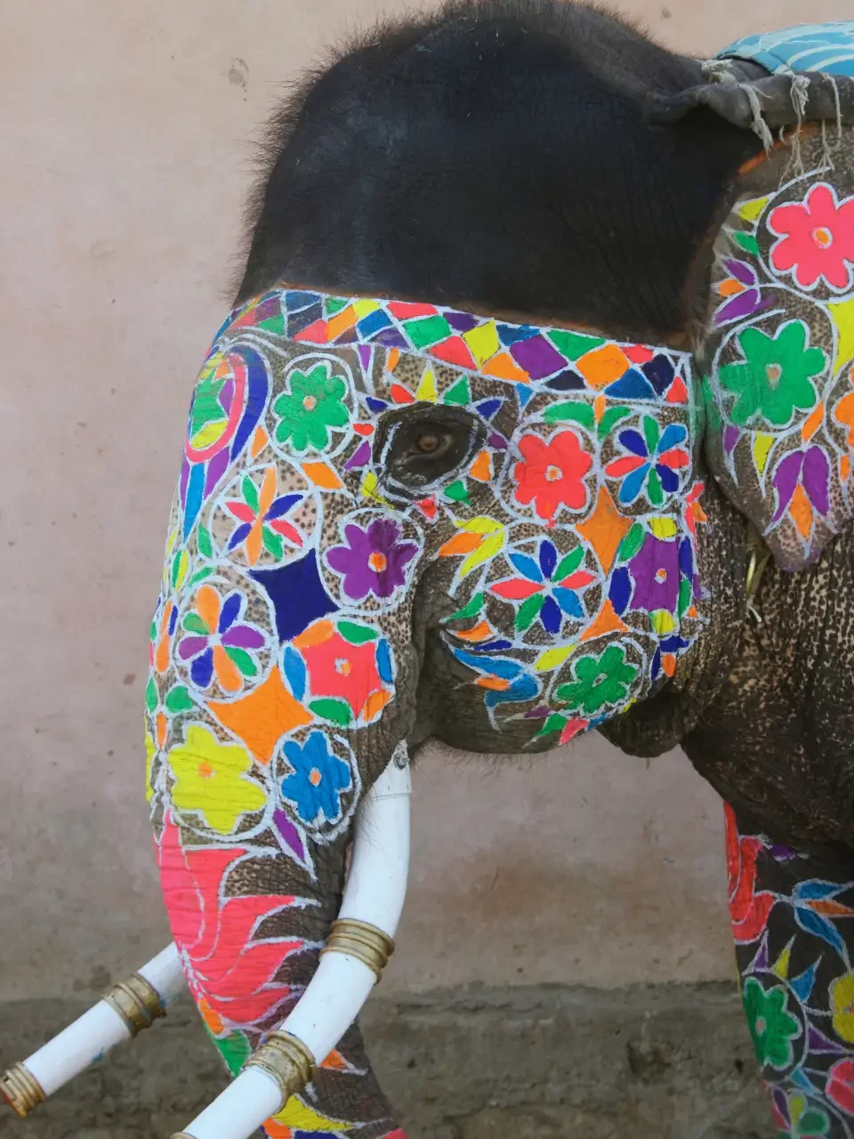 India – Thailanda