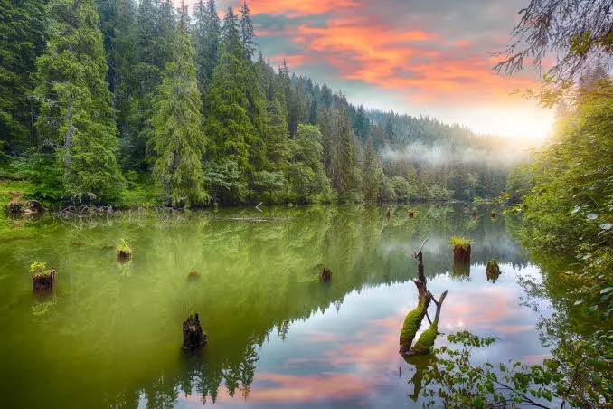 Evadare în oraș și natură – Iași & Lacul Roșu, România 4