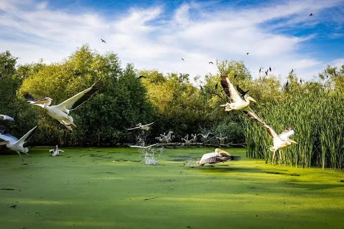 Danube Delta Nature Escape 2