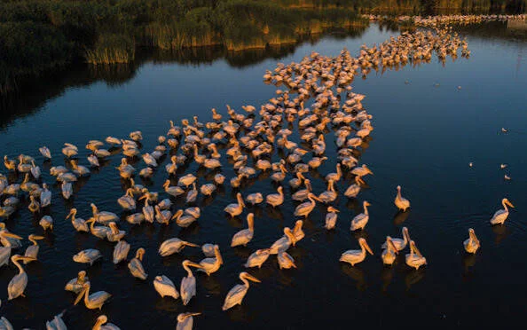 Danube Delta Nature Escape