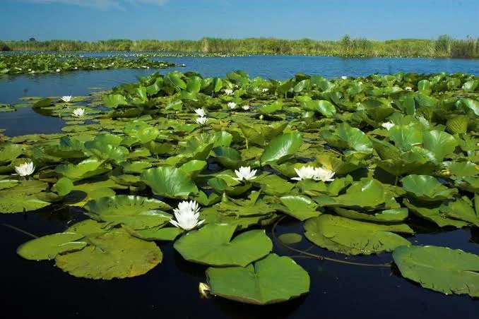 Danube Delta Nature Escape 4
