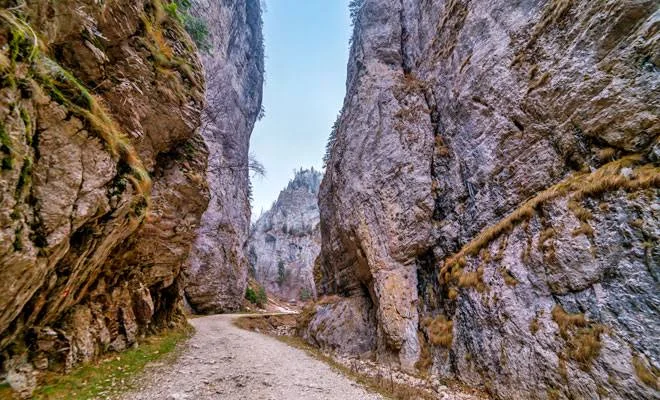Carpathian Hiking Light 3