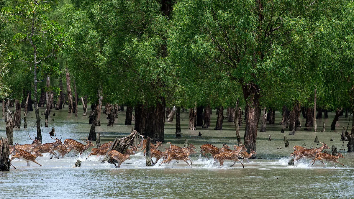 Descoperă Bangladesh – Turul Signature Avangarde 6