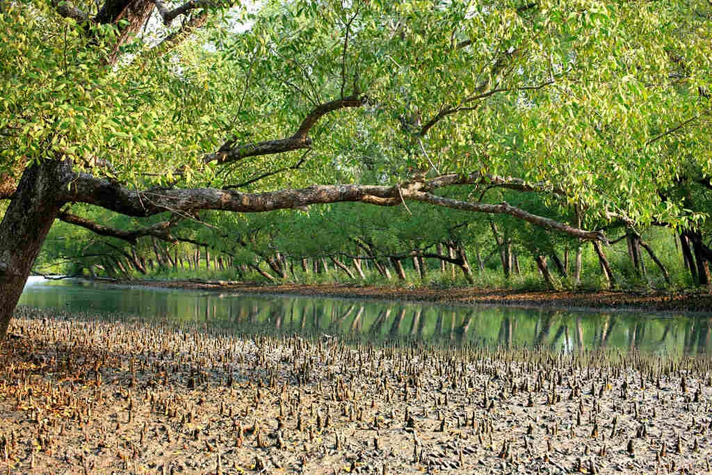 Descoperă Bangladesh – Turul Signature Avangarde 8