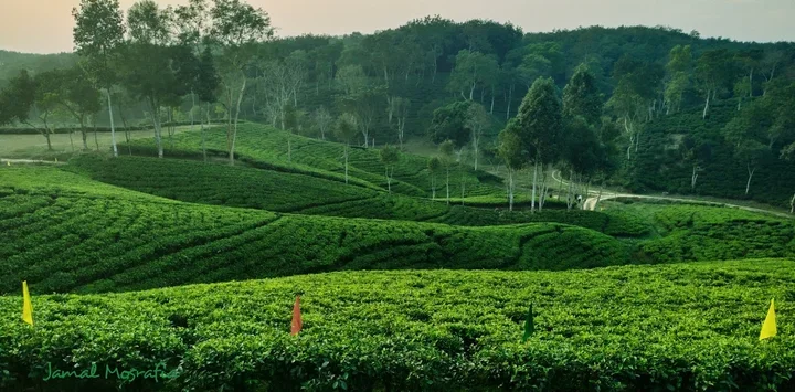 Descoperă Bangladesh – Turul Signature Avangarde 10