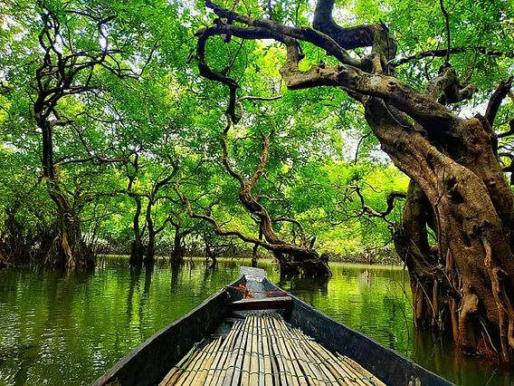 Descoperă Bangladesh – Turul Signature Avangarde 12