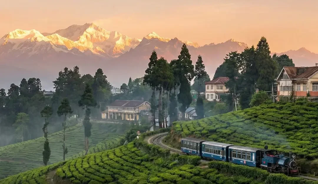 Mountain Escape – Darjeeling 4
